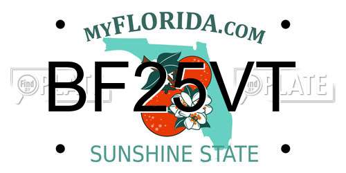 BF25VT Florida License Plate