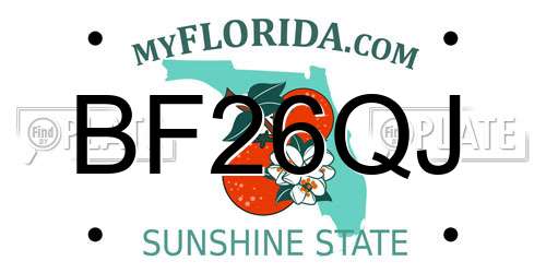 BF26QJ Florida License Plate