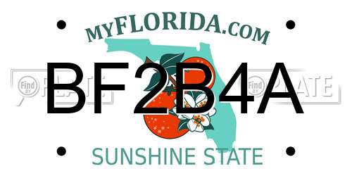 BF2B4A Florida License Plate