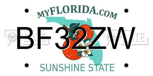 BF32ZW Florida License Plate