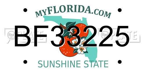 BF33225 Florida License Plate