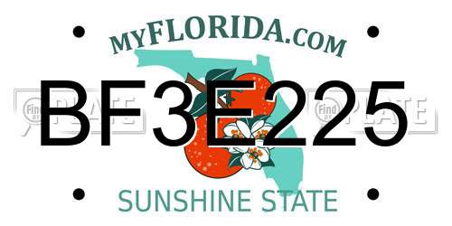 BF3E225 Florida License Plate