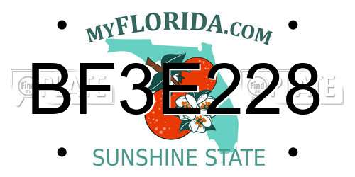 BF3E228 Florida License Plate