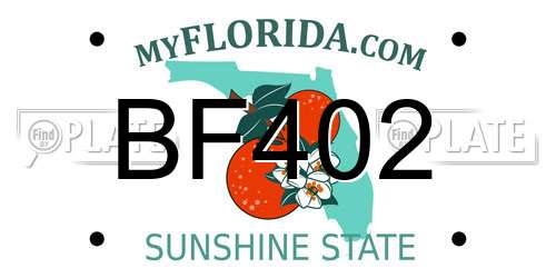 BF402 Florida License Plate