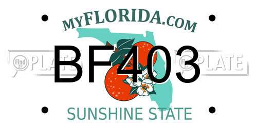 BF403 Florida License Plate