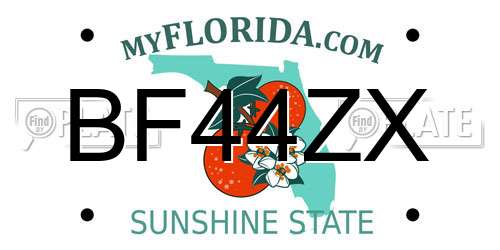 BF44ZX Florida License Plate
