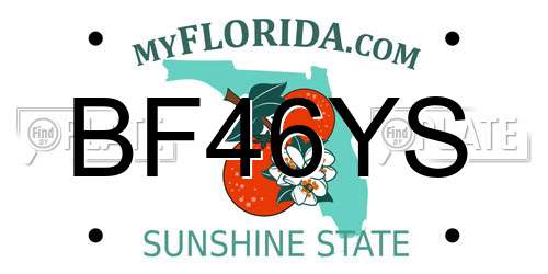 BF46YS Florida License Plate