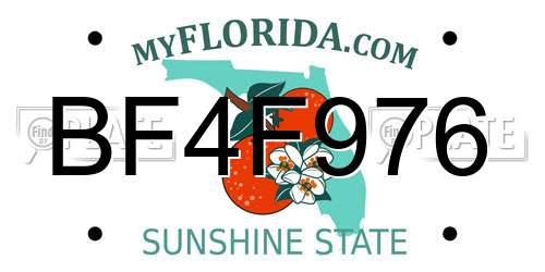 BF4F976 Florida License Plate