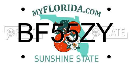BF55ZY Florida License Plate