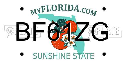 BF61ZG Florida License Plate