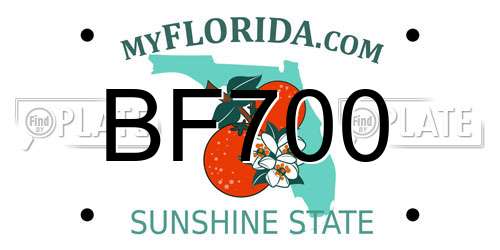 BF700 Florida License Plate