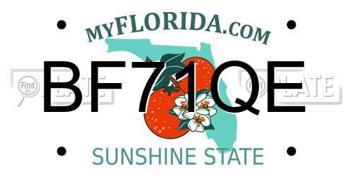 BF71QE Florida License Plate