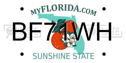 BF71WH Florida License Plate