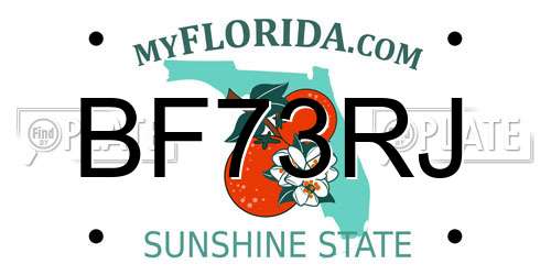 BF73RJ Florida License Plate
