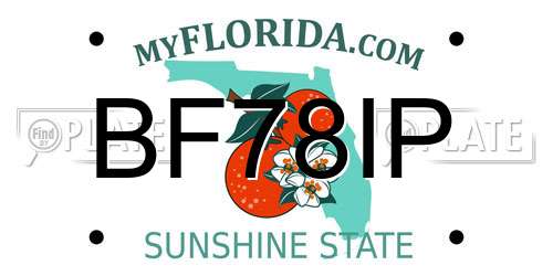 BF78IP Florida License Plate