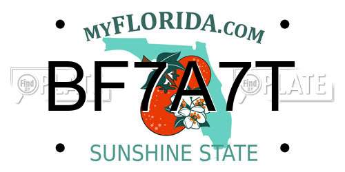 BF7A7T Florida License Plate