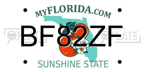 BF82ZF Florida License Plate