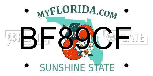 BF89CF Florida License Plate