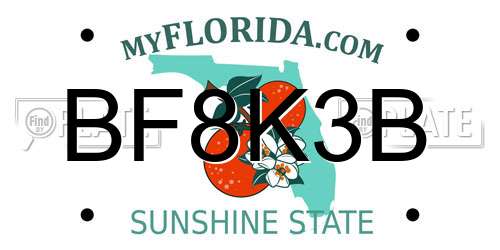 BF8K3B Florida License Plate