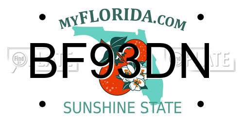 BF93DN Florida License Plate