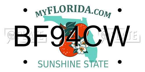 BF94CW Florida License Plate