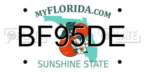 BF95DE Florida License Plate