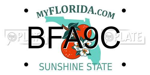 BFA9C Florida License Plate
