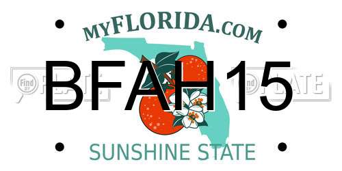 BFAH15 Florida License Plate