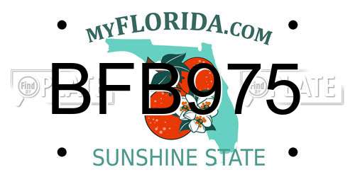 BFB975 Florida License Plate
