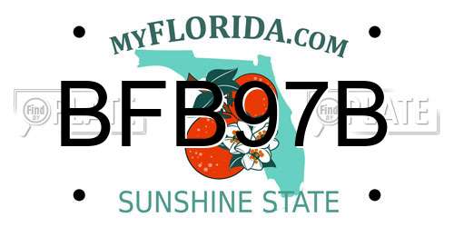 BFB97B Florida License Plate
