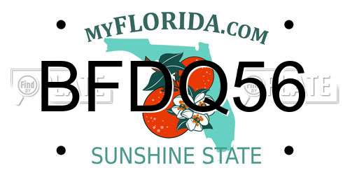 BFDQ56 Florida License Plate