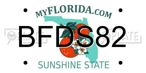 BFDS82 Florida License Plate