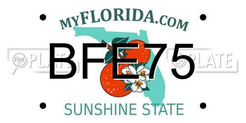 BFE75 Florida License Plate