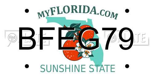 BFEG79 Florida License Plate