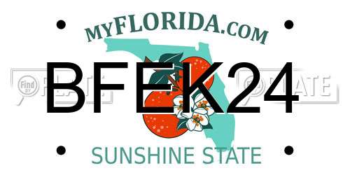 BFEK24 Florida License Plate