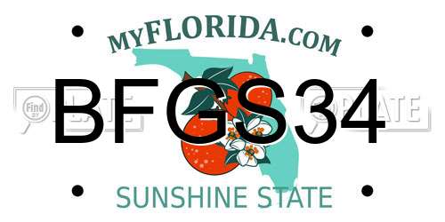 BFGS34 Florida License Plate