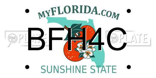 BFH4C Florida License Plate