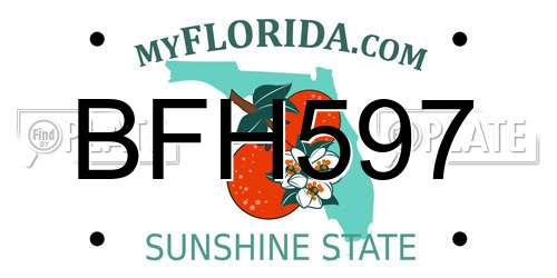 BFH597 Florida License Plate