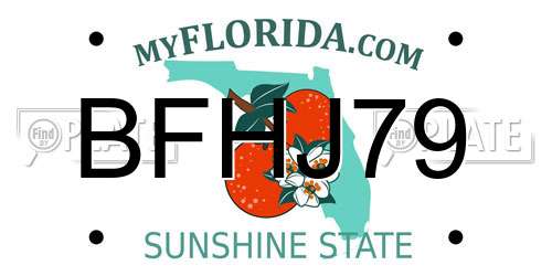 BFHJ79 Florida License Plate