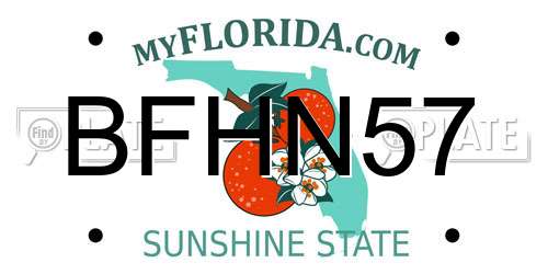 BFHN57 Florida License Plate