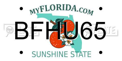BFHU65 Florida License Plate