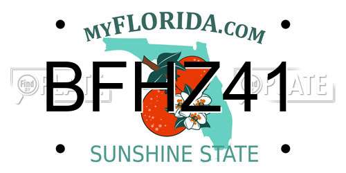 BFHZ41 Florida License Plate
