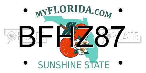 BFHZ87 Florida License Plate