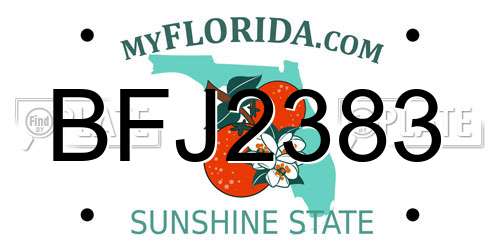 BFJ2383 Florida License Plate