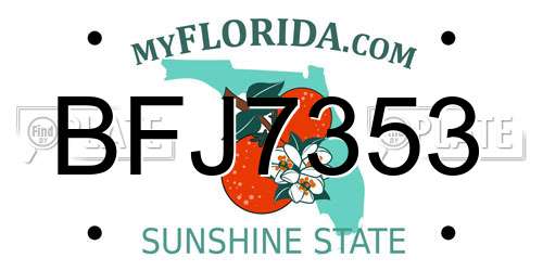 BFJ7353 Florida License Plate