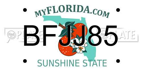 BFJJ85 Florida License Plate