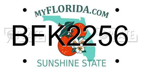 BFK2256 Florida License Plate