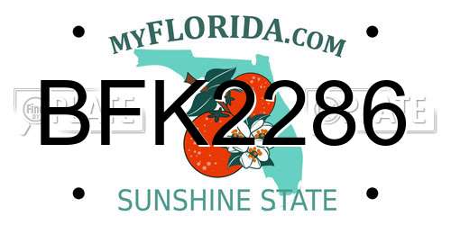 BFK2286 Florida License Plate