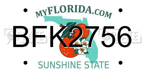 BFK2756 Florida License Plate