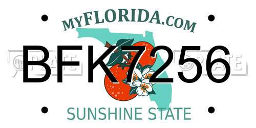 BFK7256 Florida License Plate